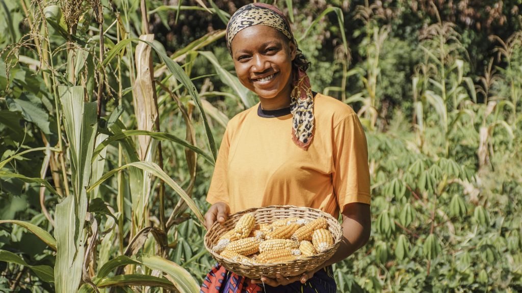 Agricultrice souriante portant un panier d'épis de maïs dans un champ de maïs